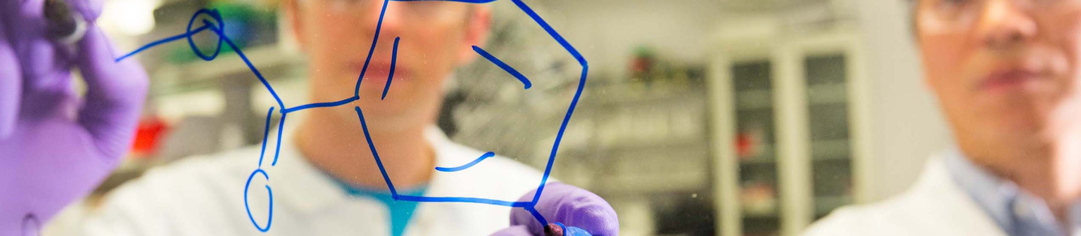 Científicos dibujando moléculas en una pizarra blanca